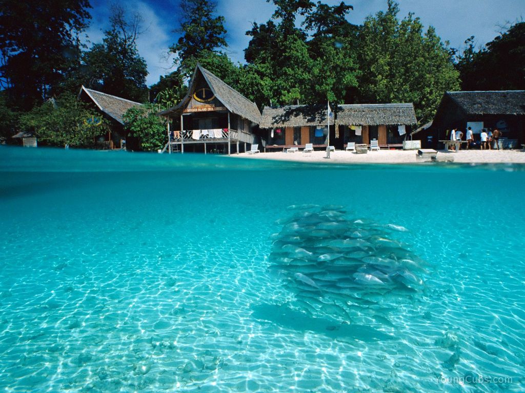 Split-View of Sipadan Island, Borneo